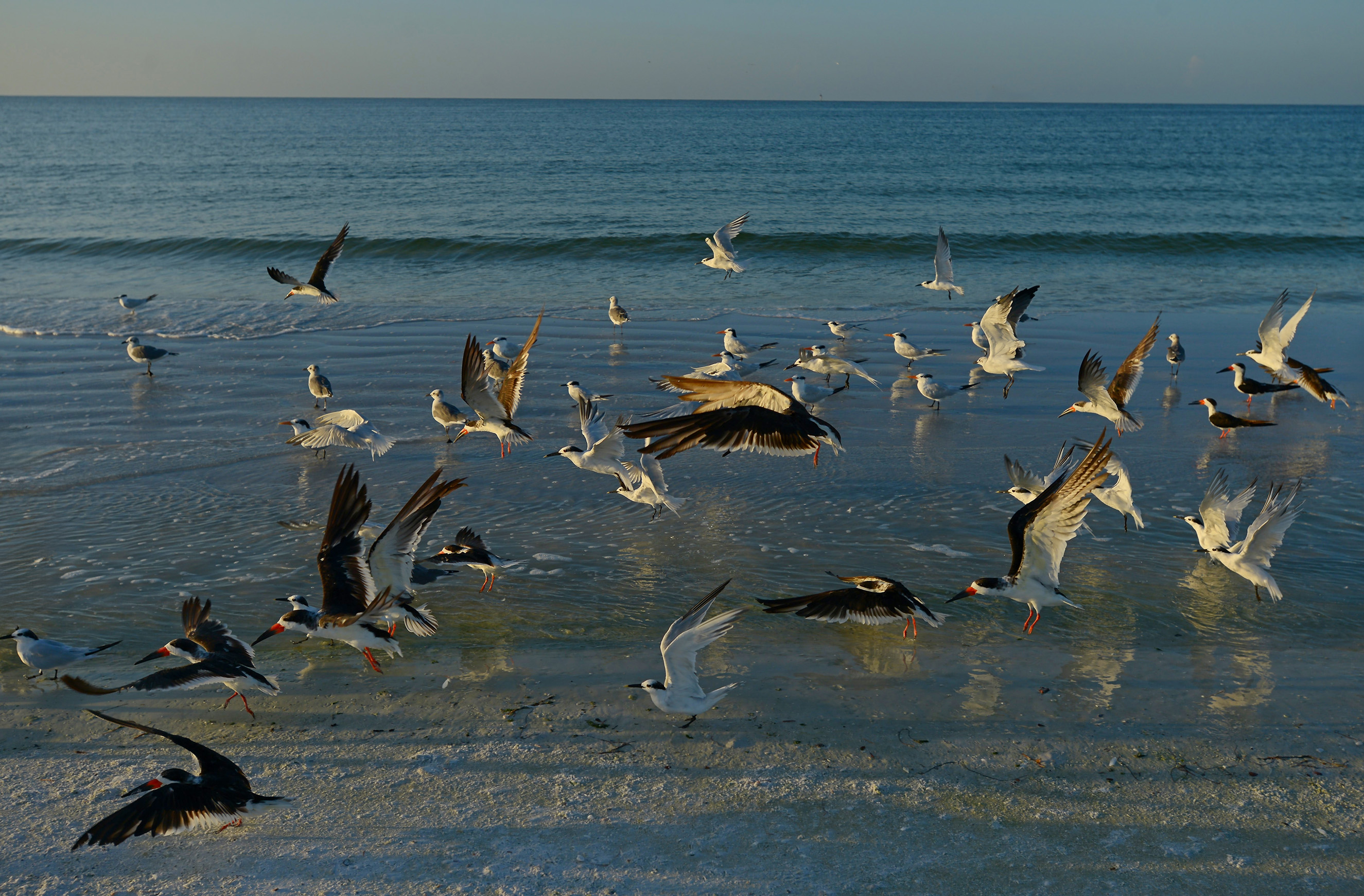 Friends gathering at Casey Key Beach