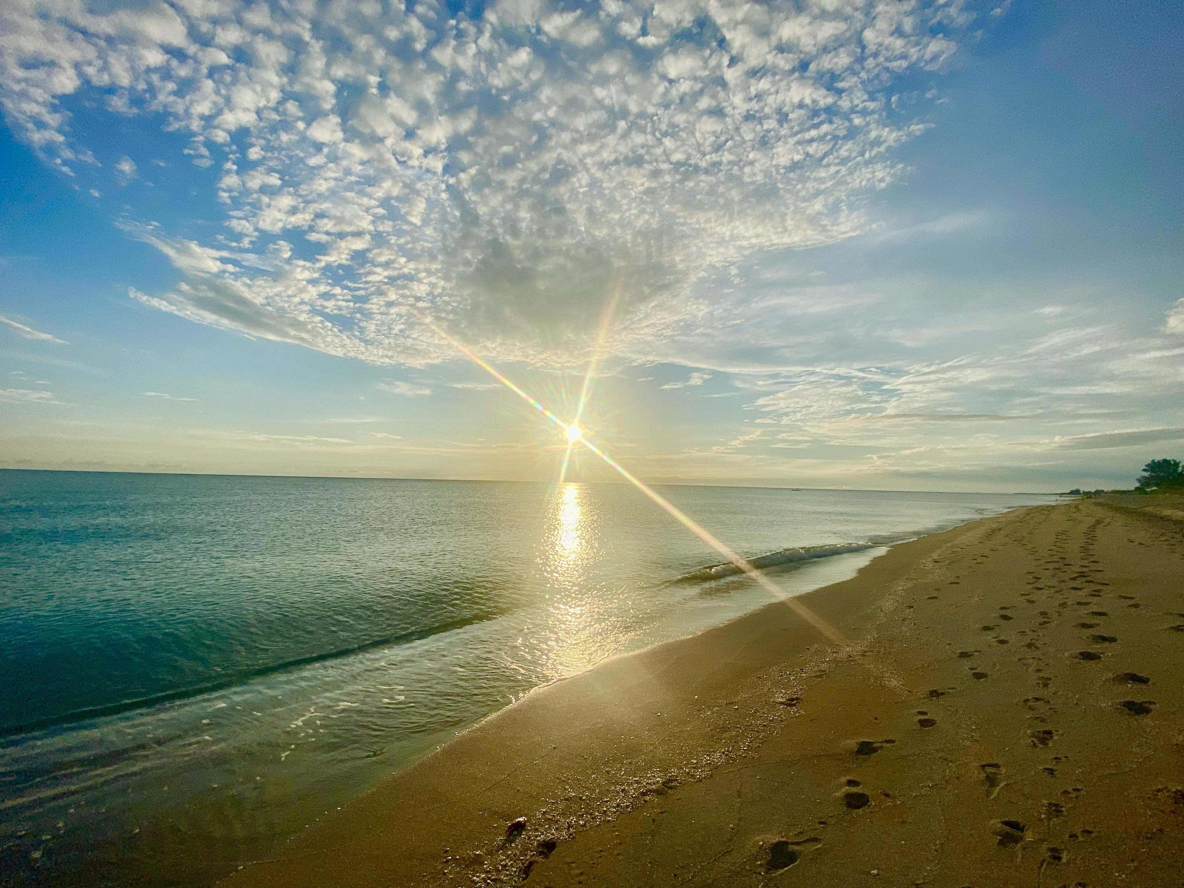 Venice, Florida: Beach Fishing with Atticus! Homes and Lifestyles