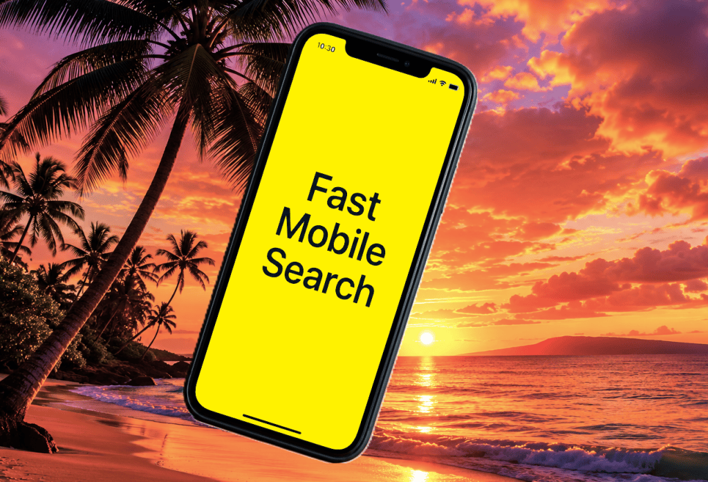 Fast Mobile Search