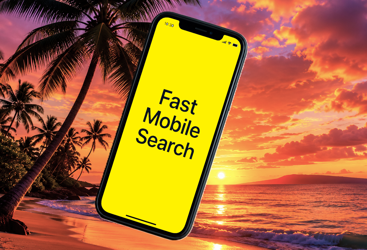 Fast Mobile Search