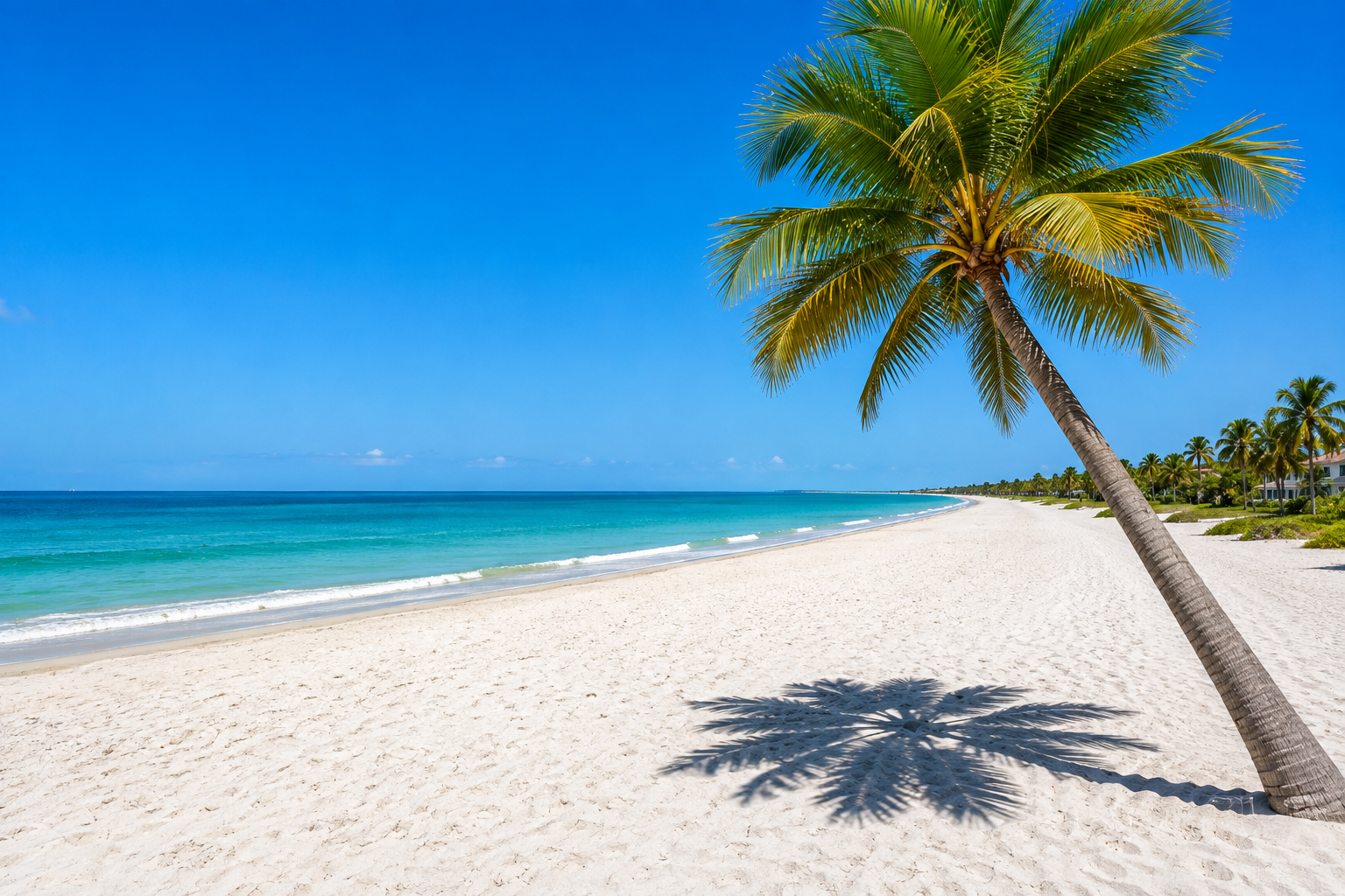 Golden Beach: Beachfront  Homes, Venice, FL