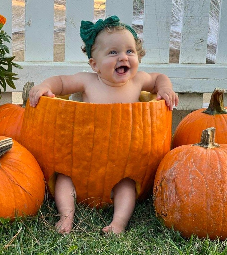 October in Venice, FL: The Locals’ Favorite Time of Year
